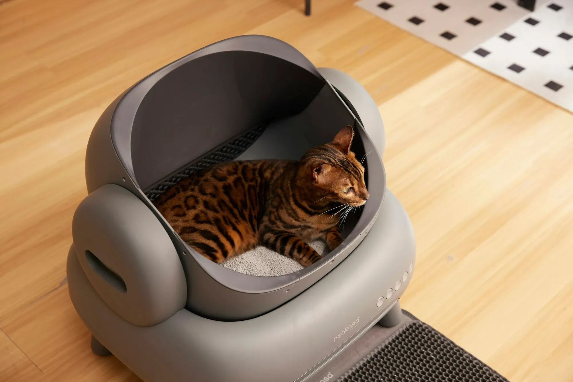 Cat stepping off a textile mat next to a litter box